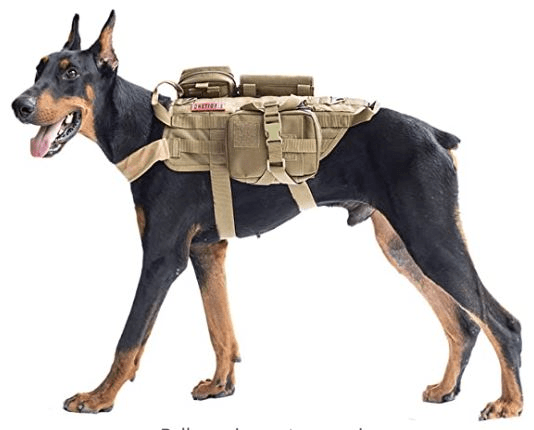 Best weighted dog outlet vest